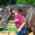 Hernando Saddle Club